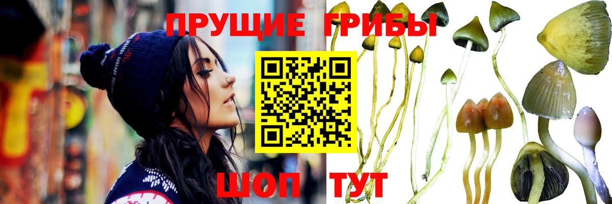 наркошоп  Псилоцибиновые грибы мухоморы  Вход с VPN  Алексин 
